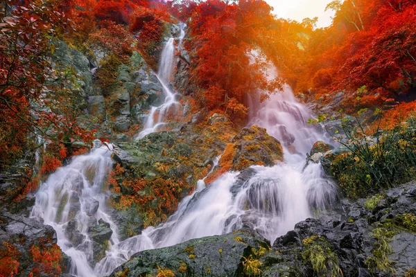 Cachoeira Floresta Tropical Profunda Selva Krok Dok Cachoeira Saraburi Tailândia — Fotografia de Stock