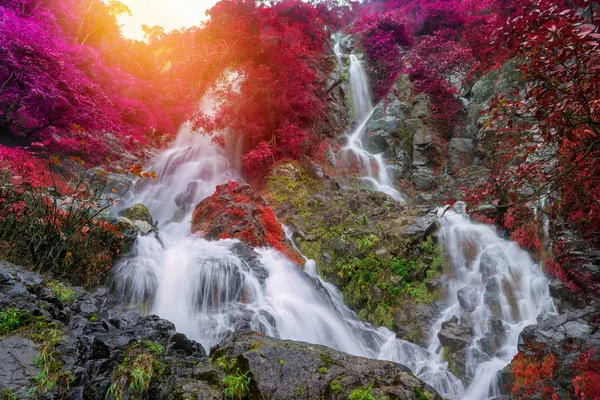 Cachoeira Floresta Tropical Profunda Selva Krok Dok Cachoeira Saraburi Tailândia — Fotografia de Stock