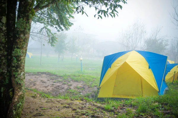 Camping Tent Camping Nationaal Park — Stockfoto