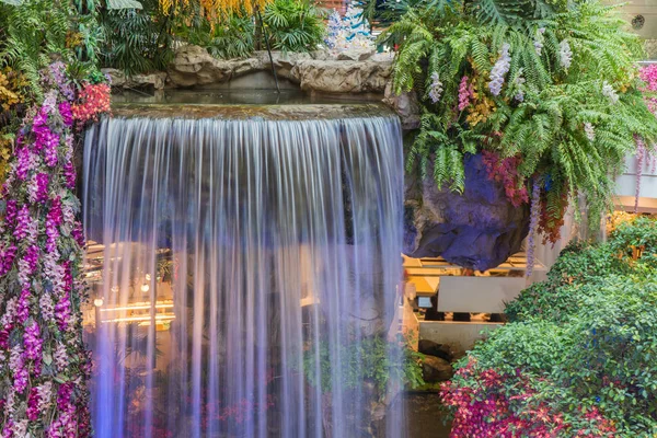 Genel Park bahçe içinde güzel şelale peyzaj