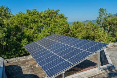 Fotovoltaik yenilenebilir güneş enerjisi ormanda kullanarak