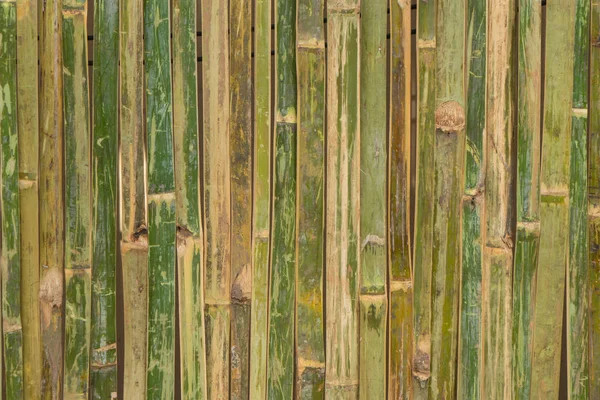 Motif Texture Mur Clôture Bambou Pour Fond — Photo