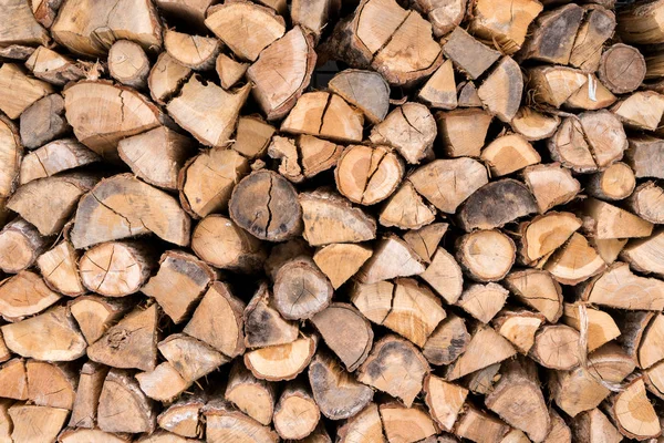 Firewood Stacked Pile Kindle — Stock Photo, Image