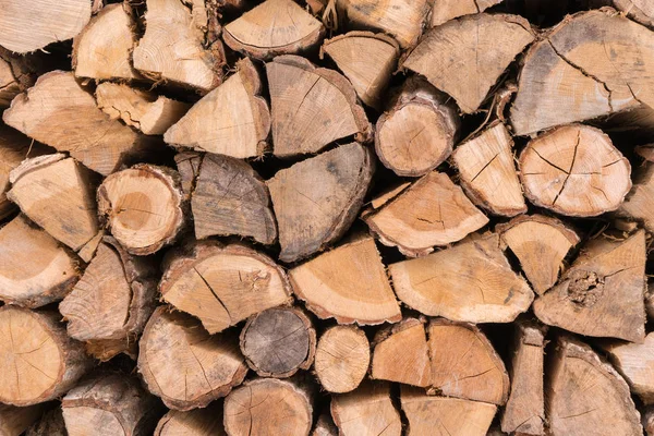 Firewood Stacked Pile Kindle — Stock Photo, Image