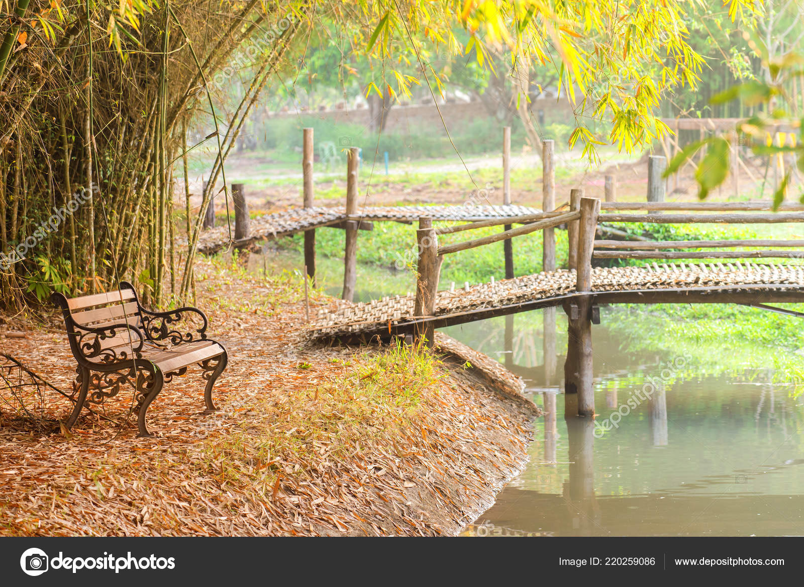 Beautiful Garden Benches Autumn Tree Public Park Stock Photo