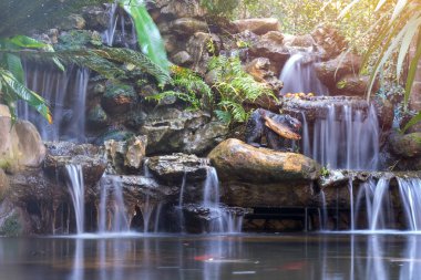 Halk parkındaki bahçede şelale.