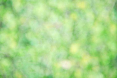 Yeşil Doğa bokeh soyut yaprak için yumuşak arka plan ışık üzerinden.