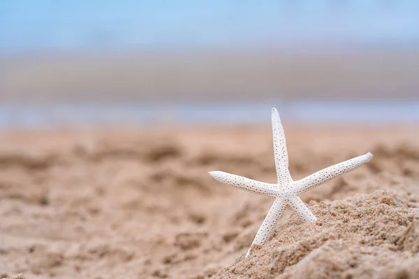 Starfish Praia Areia Verão Com Fundo Mar — Fotografia de Stock