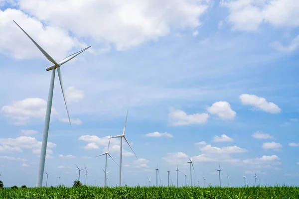 Windrad Erneuerbare Energiequelle Sommer Mit Blauem Himmel — Stockfoto