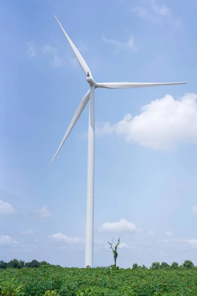 青い空と風力タービン再生可能エネルギー源夏 — ストック写真