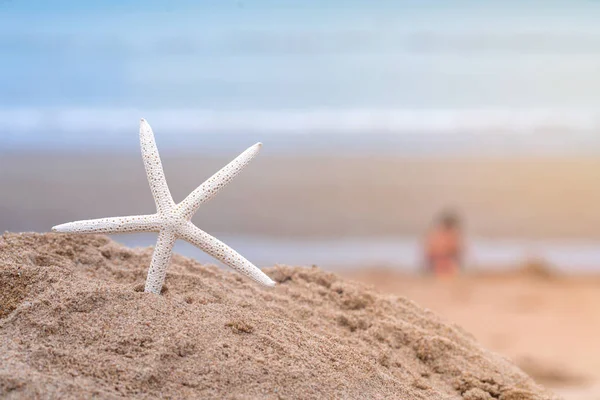 Rozgwiazdy Piaszczystej Plaży Lecie Tłem Morza — Zdjęcie stockowe