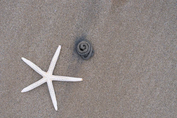 Deniz Yıldızı Deniz Ile Yaz Aylarında Kum Plajındaki — Stok fotoğraf