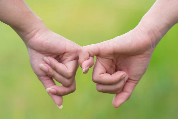 两只手在田野里钩住对方的小指 友谊日 — 图库照片