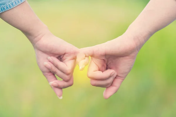 Two Hands Hook Each Other Little Finger Field Friendship Day — Stock Photo, Image