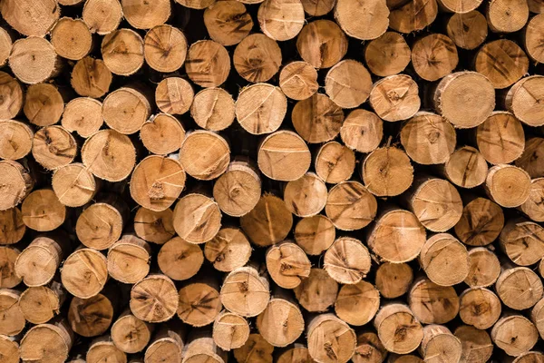 Firewood Stacked Pile Kindle — Stock Photo, Image