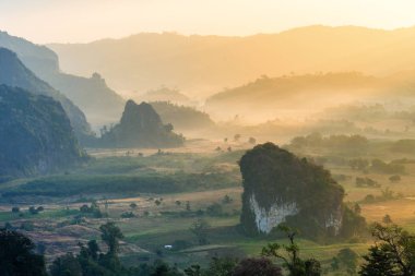 Manzara Phu Lanka dağ orman Park Phayao ili Tayland.