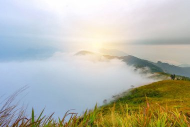 Tayland 'ın Chiang rai bölgesindeki Phucheefah dağ parkının manzarası.