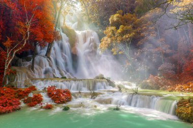 Yağmur ormanlarında şelale. (Luang Prabang 'da Tat Kuang Si Şelaleleri, Laos)