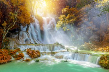 Yağmur ormanlarında şelale. (Luang Prabang 'da Tat Kuang Si Şelaleleri, Laos)