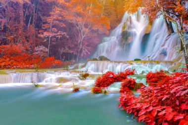 Yağmur ormanlarında şelale. (Luang Prabang 'da Tat Kuang Si Şelaleleri, Laos)