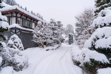 Ev ve ağaçlarda kar kış soğuk gün ile peyzaj.