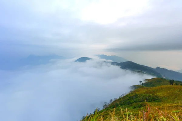 Krajobraz Górskiego Parku Leśnego Phucheefah Prowincji Chiang Rai Tajlandia — Zdjęcie stockowe