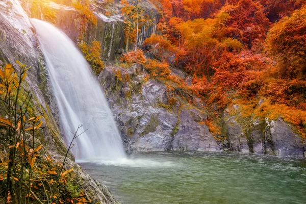 Cascata Nella Giungla Della Foresta Pluviale Profonda Mae Cascate Mokoju — Foto Stock