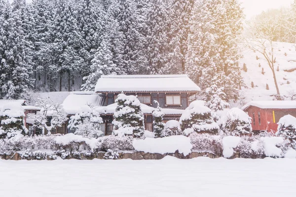 Gifu Chubu Japonya Kışın Düşen Kar — Stok fotoğraf