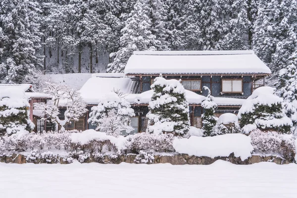 Gifu Chubu Japonya Kışın Düşen Kar — Stok fotoğraf