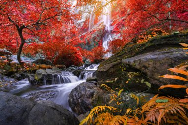 Khlong Lan Şelalesi Tayland yağmur ormanlarında çok güzel bir şelaledir..