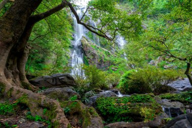 Khlong Lan Şelalesi Tayland yağmur ormanlarında çok güzel bir şelaledir..