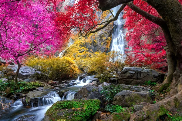 长兰瀑布是泰国热带雨林中美丽的瀑布 — 图库照片