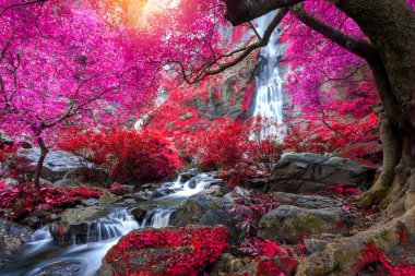 Khlong Lan Şelalesi Tayland yağmur ormanlarında çok güzel bir şelaledir..
