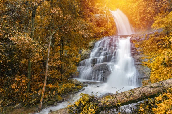 Huay Saai Leung Waterfall Uma Bela Cachoeira Selva Floresta Tropical — Fotografia de Stock