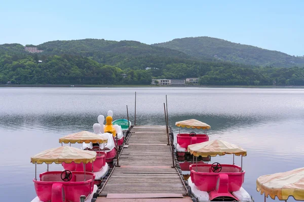 Anatra Pedalò Lago Kawaguchiko Monte Fuji Sito Ricreativo Popolare Nautica — Foto Stock
