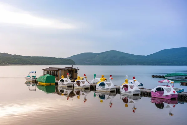 Anatra Pedalò Lago Kawaguchiko Monte Fuji Sito Ricreativo Popolare Nautica — Foto Stock