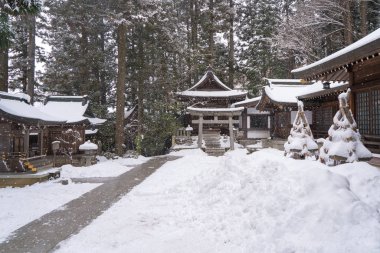 Budist tapınağında Sanzen-in Temple Japon bahçesinde peyzaj