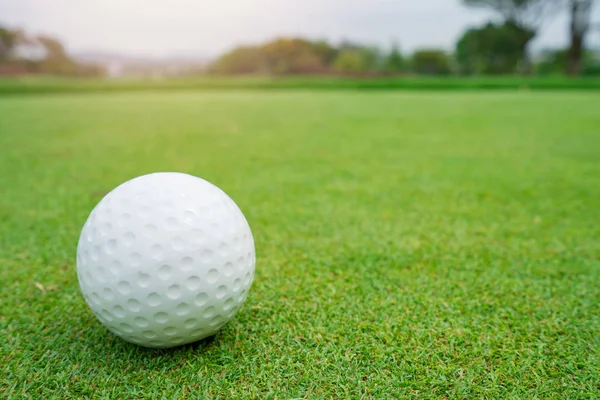 Bola de golfe na grama verde pronto para ser baleado no campo de golfe — Fotografia de Stock