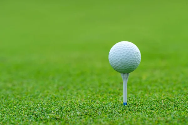 Bola de golfe no tee pronto para ser disparado em golfcourt — Fotografia de Stock