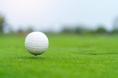 Golf topu t hazır üzerinde spor çekim için