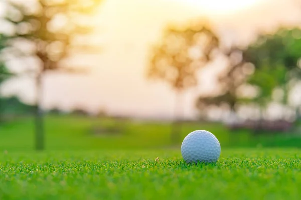 Golfový míč na zelené trávě připravený na Golf na golfovém hřišti — Stock fotografie
