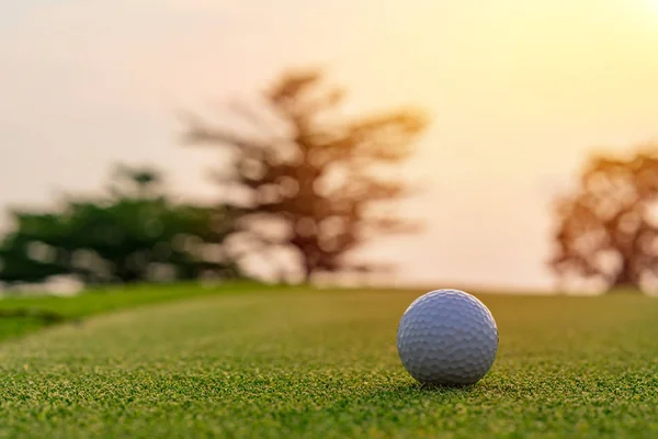 Yeşil çim Golf topu Golf kortunda vurulmaya hazır — Stok fotoğraf