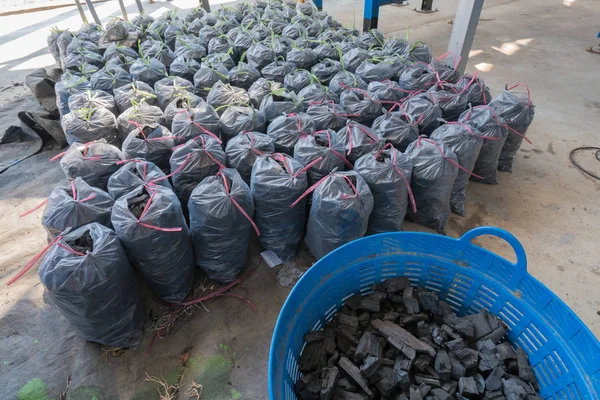 Sitio de producción de carbón de madera con sacos llenos de carbón —  Fotos de Stock