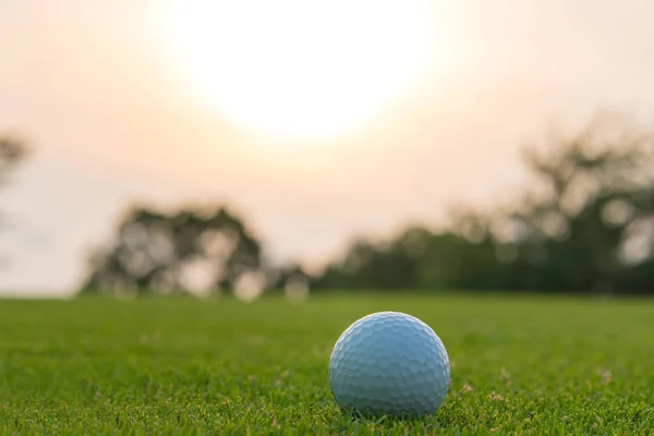 Golfový míč na zelené trávě připravený na zásah na golfcourt — Stock fotografie