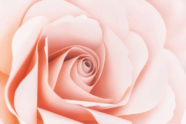 Bela de rosas cor-de-rosa doce em estilo suave para o romance ba — Fotografia de Stock