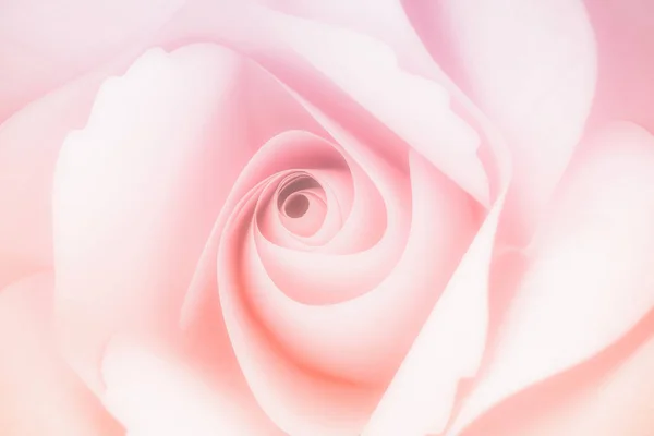 Bela de rosas cor-de-rosa doce em estilo suave para o romance ba — Fotografia de Stock