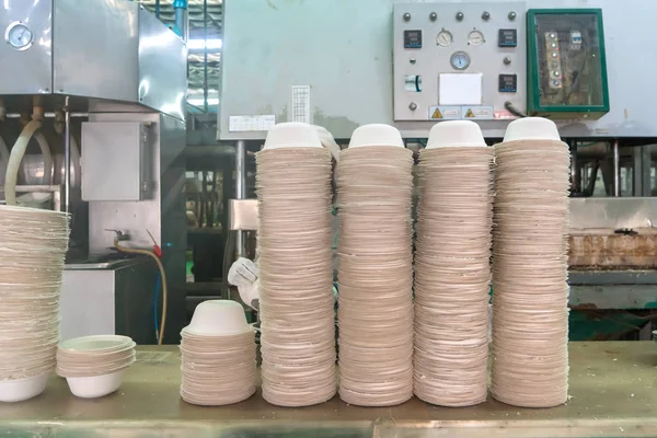 Bol alimentaire Fabriqué à partir de fibres de bagasse en usine. Ma respectueux de l'environnement — Photo