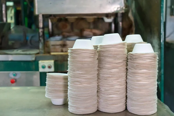 Еда миска изготовлена из волокна Bagasse на заводе. Eco-Friendly Ma — стоковое фото