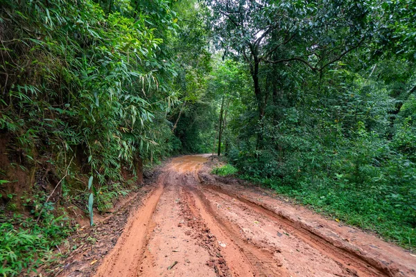 Weg nat modderig van achterland platteland in regenachtige dag — Stockfoto