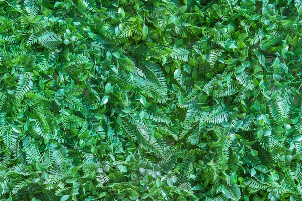 Artificial Grass Green Leaves Wall Texture Background — Stock Photo, Image